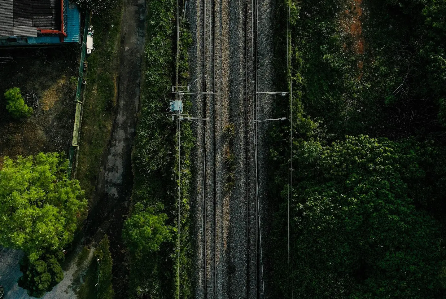 Rail lines running through forest, seen from above